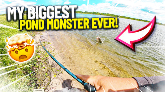 Caught a Pond Monster