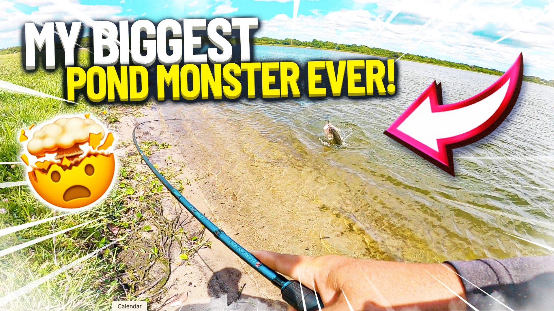 Caught a Pond Monster