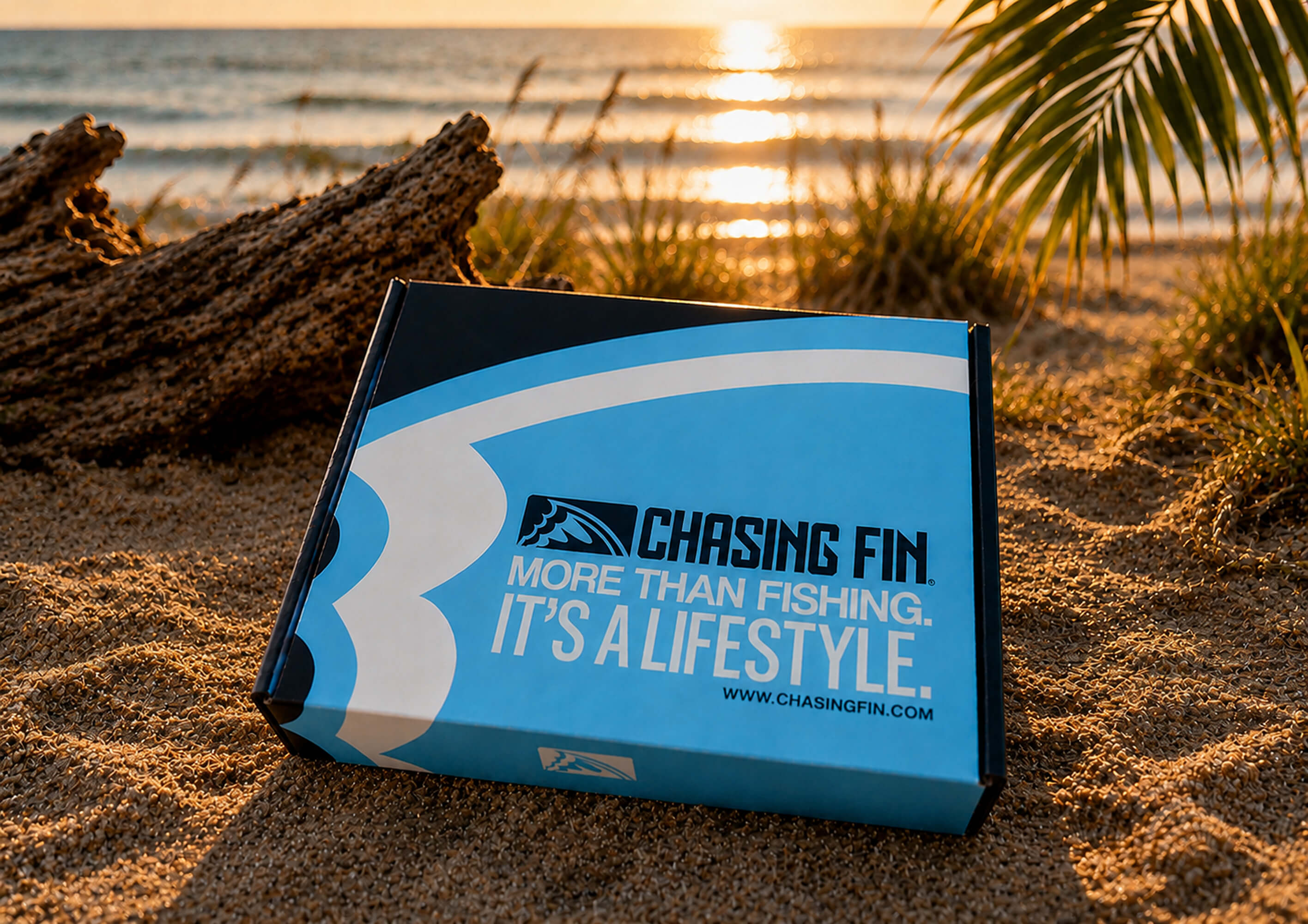 About Chasing Fin